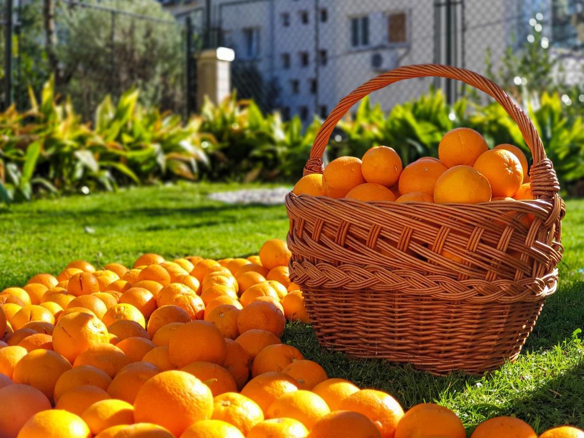 Ambience Dubrovnik Daire Dış mekan fotoğraf